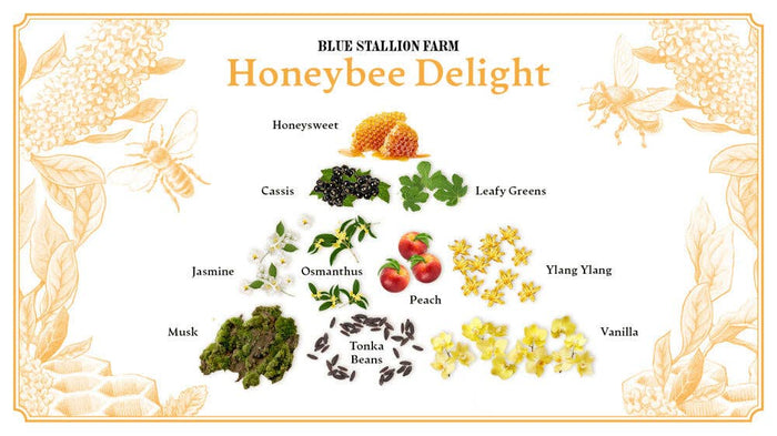 Blue Stallion Farm Honeybee Delight Hand Cream