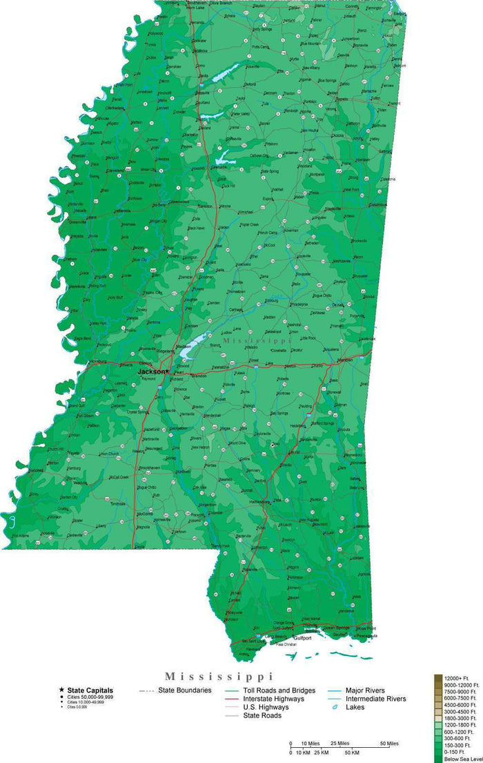 Mississippi Map with Contour Background - Cut Out Style