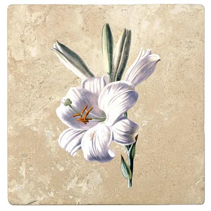4" Absorbent Stone Flower Designs Drink Coasters, White Lily, 2 Sets of 4, 8 Pieces - Christmas by Krebs Wholesale