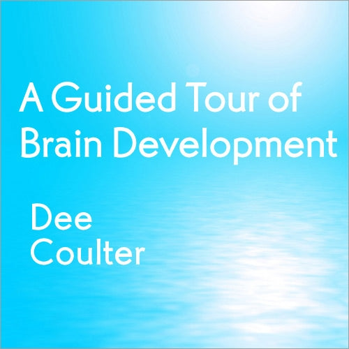 A Guided Tour of Brain Development