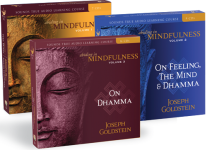 Abiding in Mindfulness Collection