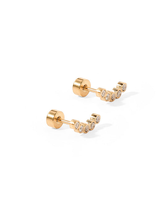 Abigail Sparkle Screwback Stud Earring