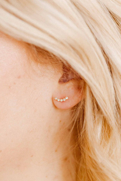 Abigail Sparkle Screwback Stud Earring