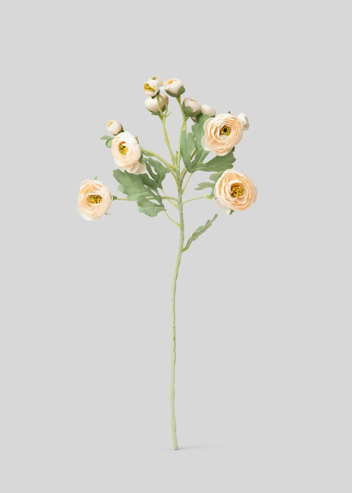 Artificial Blooming Ranunculus Flowers in Blush - 21" - Sweet Water Decor - faux flower