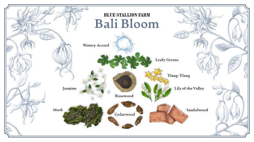 Blue Stallion Farm Bali Bloom Body Oil