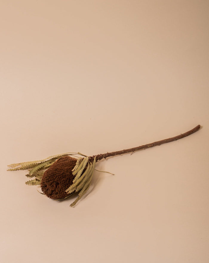 Banksia Brown - Sweet Water Decor - faux flower
