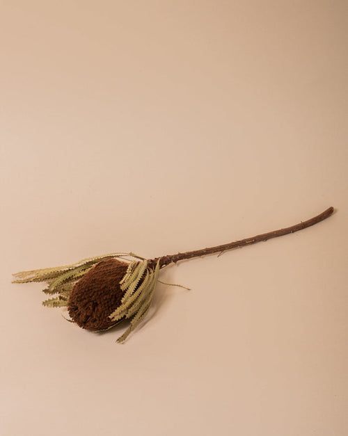 Banksia Brown - Sweet Water Decor - faux flower