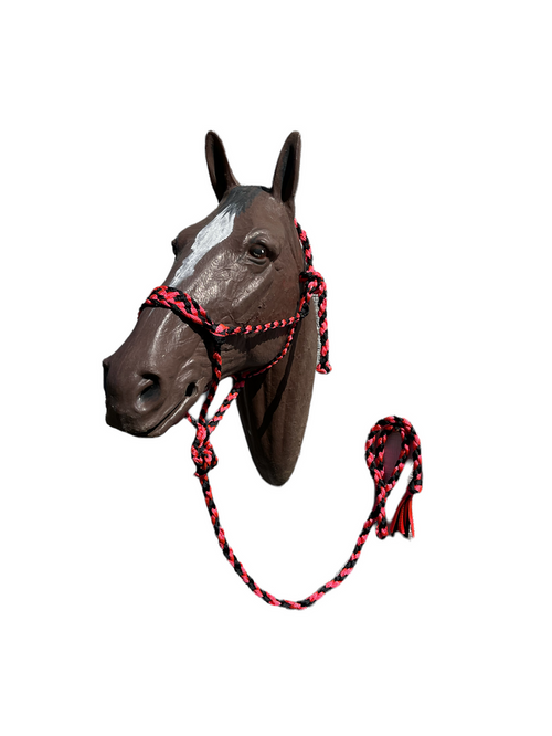 Black and Pink  Braided mule tape horse halter with flat noseband