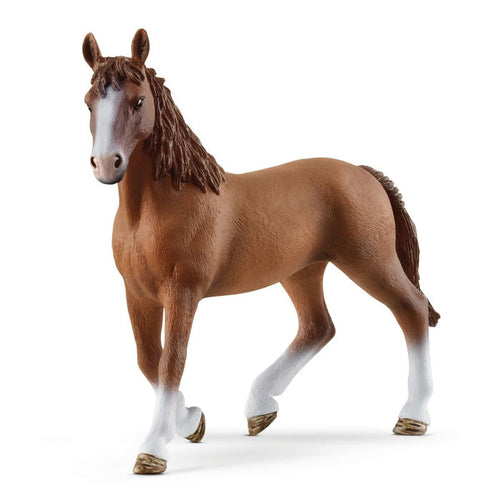 Cheval de Selle Francais mare