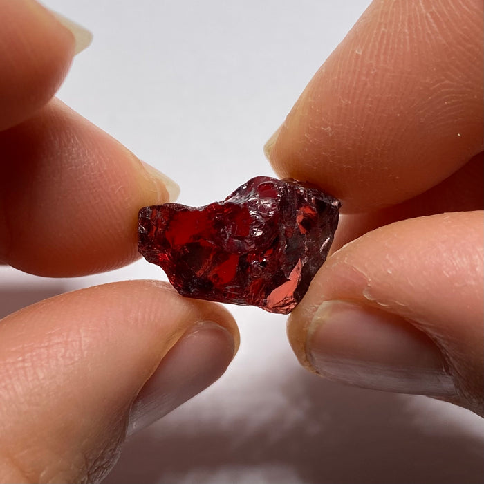Chrome Pyrope - Mozambique