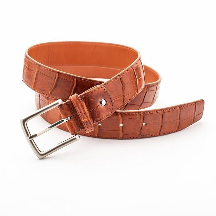 Premium crocodile belt coiled showing silver buckle and natural leather variations