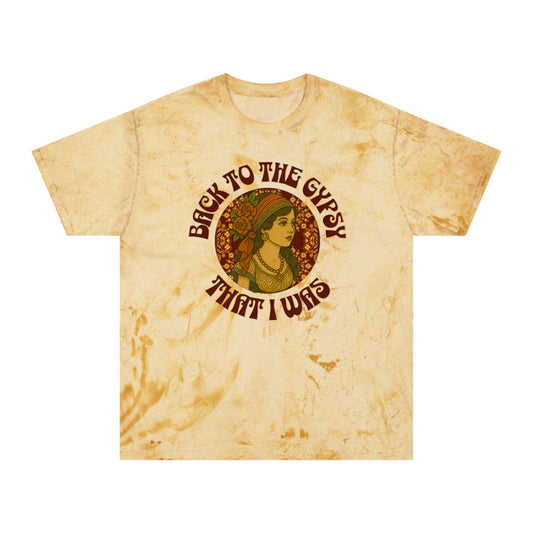 Color Blast V-Neck Lyrics Tee - Back To The Gypsy That I Was - New 2025