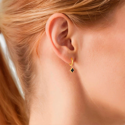 Creolen Clover Achat