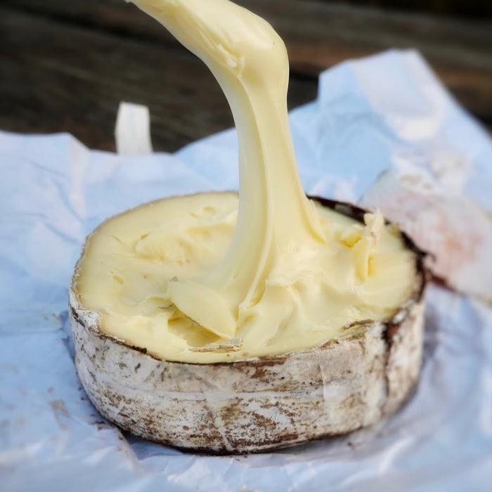 image of a knife coated in harbison cheese that is dripping off
