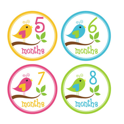 Girl Little Birds Monthly Baby Stickers onesie sticker - INKtropolis