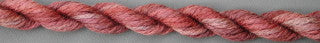 119 Dried Pink Roses