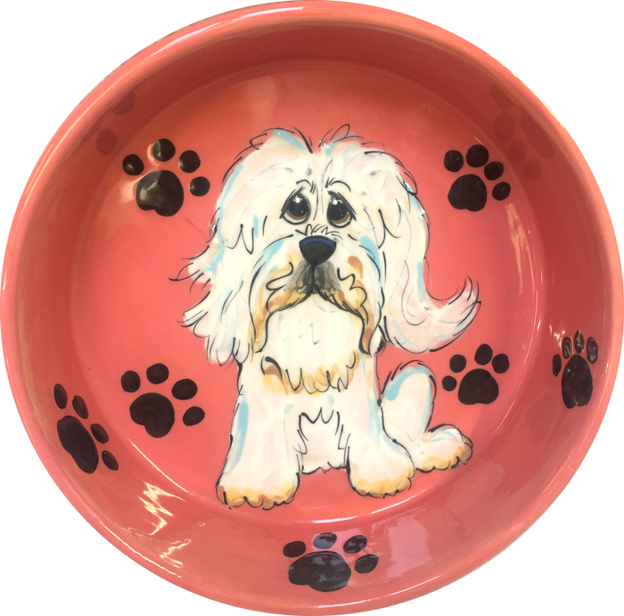 Havanese Paw Prints