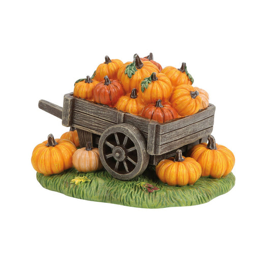 Hey There Pumpkin!