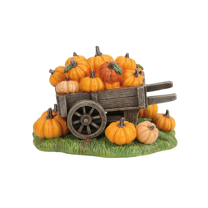 Hey There Pumpkin!