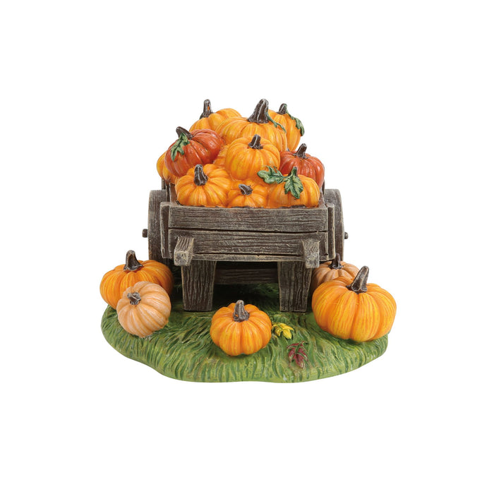 Hey There Pumpkin!