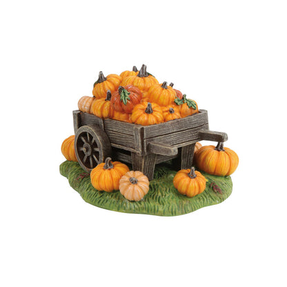 Hey There Pumpkin!