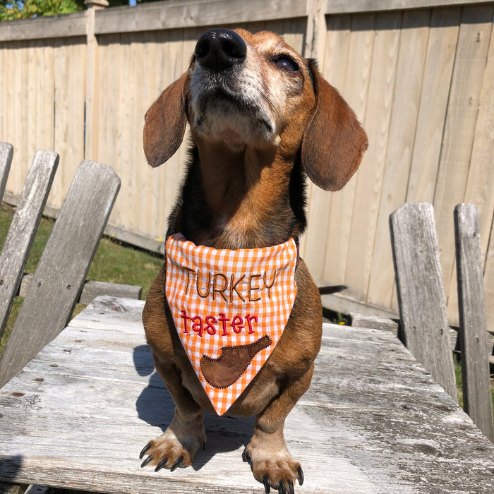 In the hoop "Turkey Taster" pet bandana by snugglepuppyapplique.com