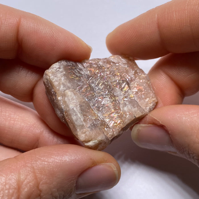 Lattice Sunstone - Tanzania