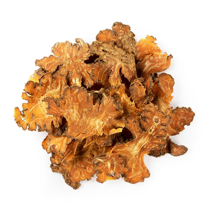 Ligusticum wallichii / Chuan Xiong