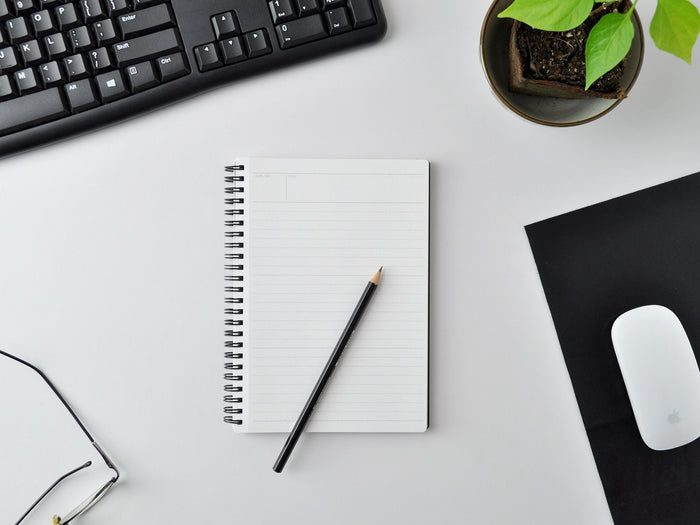 Maruman Mnemosyne Notebook N109 - A4 Dotted