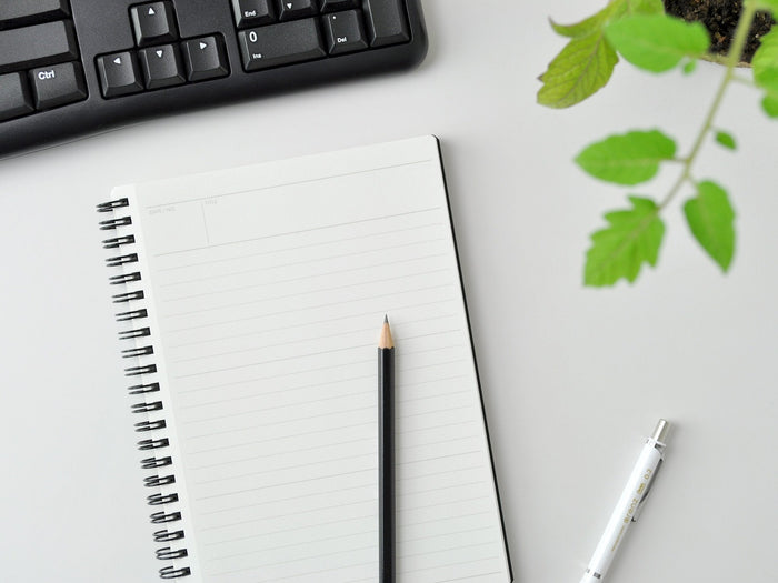 Maruman Mnemosyne Notebook N109 - A4 Dotted