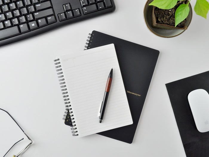 Maruman Mnemosyne Notebook N109 - A4 Dotted