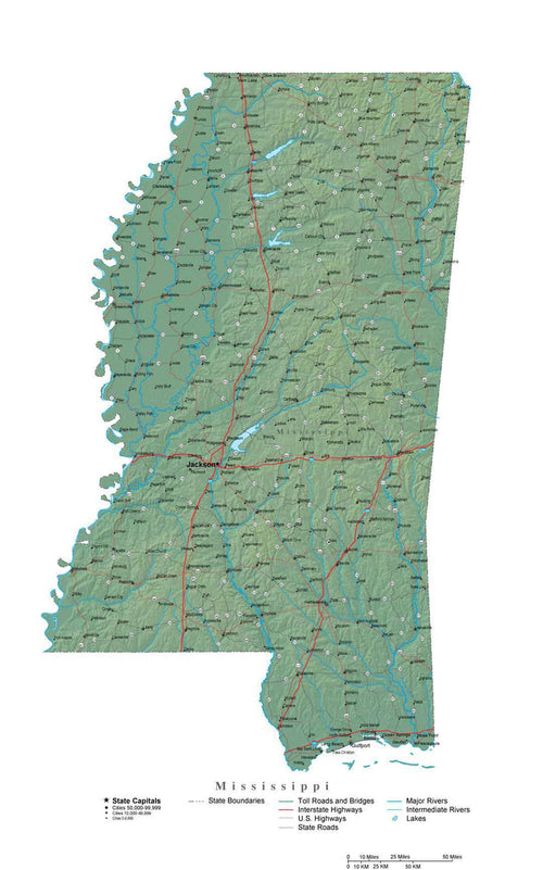 Digital Mississippi State Illustrator cut-out style vector with Terrain MS-USA-242037