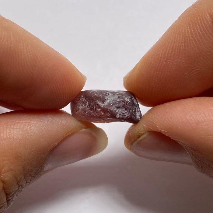 Mozambique Zircon