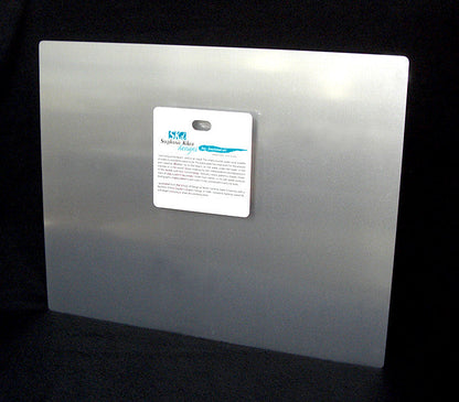 Nautilus Aluminum Wall Art