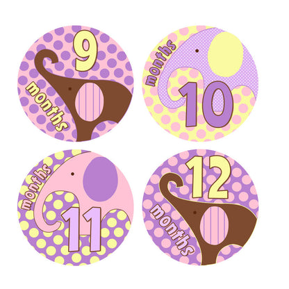 Pink & Purple Elephant Monthly Baby Stickers onesie sticker - INKtropolis
