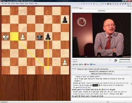 Power of Planning - Mikhalchishin - Software DVD - Chess-House