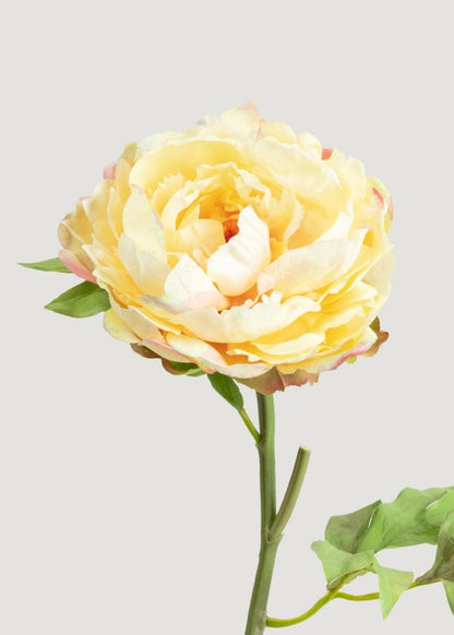 Real Touch Peony in Pale Yellow - 20" - Sweet Water Decor - faux flower