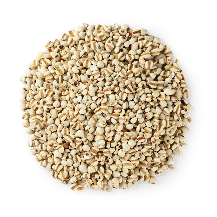 Semen Coicis / Raw Coix Seed / Yi Ren 16oz