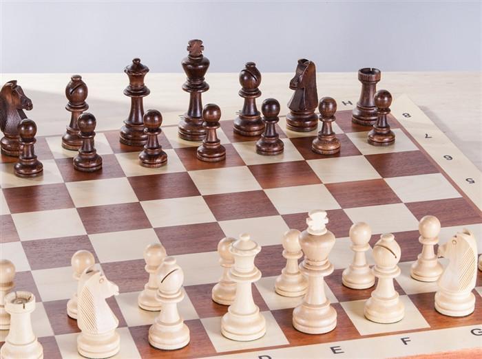 Starter Wooden Chess Set and Box Combo - Chess Set - Chess-House