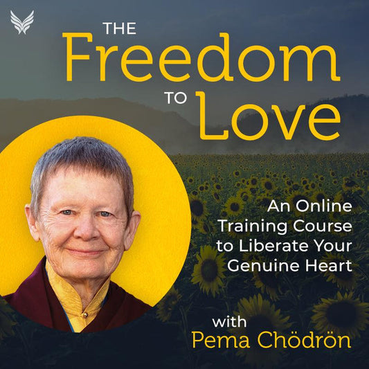 The Freedom To Love