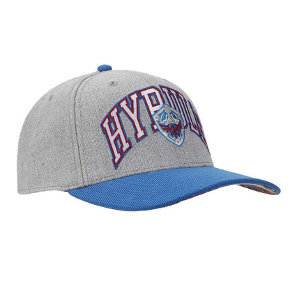 The Legend of Zelda - Hyrule Curved Bill Snapback