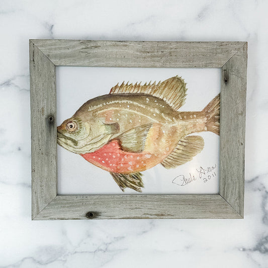 Watercolor 5X7 Framed Fish