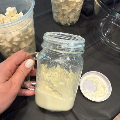 image of intro to mozzarella workshop