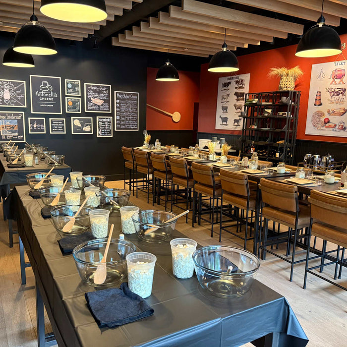 image of intro to mozzarella workshop