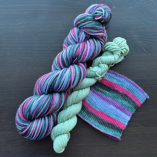 You Think I’m Qualified? Sock Set - Self Striping Merino Nylon Sock